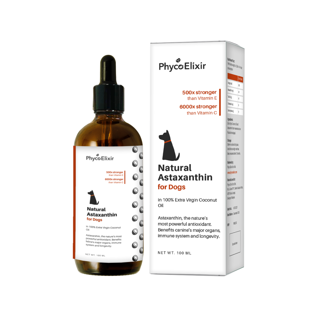 Natural Astaxanthin for Dogs (in 100 Extra Virgin Coconut Oil) Phyco